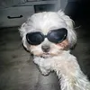 sunoo_shokoy