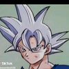 songoku123thelegendarysu
