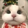 hoc.met.xiu
