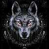andriy7592