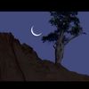 arohat4