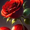baharibrahim581