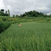 ramaputra5486