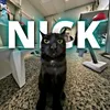 nick_1.1