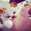 haik_26