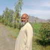 vamir.ullah