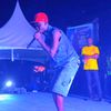 kofishark_11