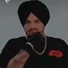 hassan_arain5911