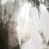 qukasu