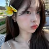 seungfrutis