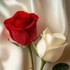 ludovicravet1