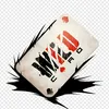 wild1842