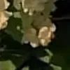 o_1238a