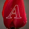 alvarol0220