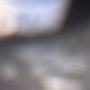 player006901