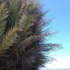 samir.bsklal