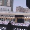 user528324631160