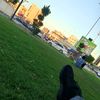 user570290615281622