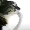misike.nadasi