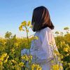 wanderuk7