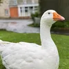 marcus.the.goose