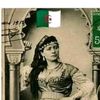 shehrazad.mezghan