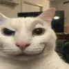 0lo_08