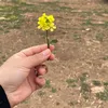 chaima321