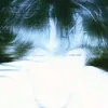 li4d3