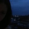 kot_684