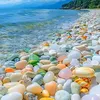 tim.yutrong