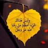 om.rahma.ramy