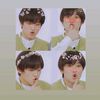 fullsun_lee99