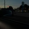 texaslonghornsarethebest