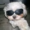 sunny_athea