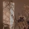 vih_silva_27