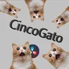 cinco_wt