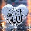 salmanwajid375