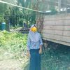 aini.ankmamak