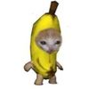 getp.anyeut.nguyen