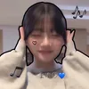 roco_5173