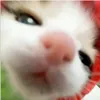 th_hanq00