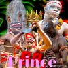 bbprinceinternationalbi
