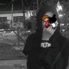 cicak.terbangg8086