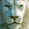 mufasa 🦁