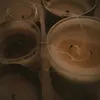 kellydarvin