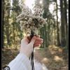 adelwis.flower