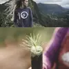 zoe.134