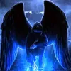 robertpolus6