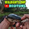 waldianto.bmp
